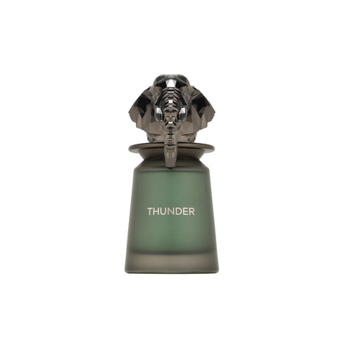 French Avenue Thunder Extrait Eau De Parfum 100ml | Men